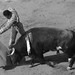 Jose Cavazos Photo 18