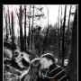 Julie Bradley Photo 36
