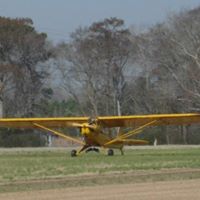 Gary Hardison Photo 7