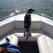 Roy Prather Photo 18