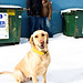 Katie Flaherty Photo 30