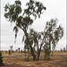 Mac Clark Photo 17