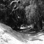 Robert Krumm Photo 28