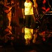 Mary Tosca Photo 7