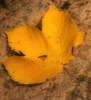 Sara Clark Photo 10