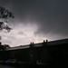 Teresa Olmsted Photo 8