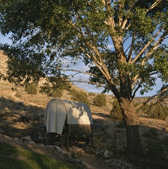 Terri Sutton Photo 33