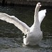 Polly Martin Photo 7
