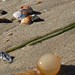 Timothy Shell Photo 10