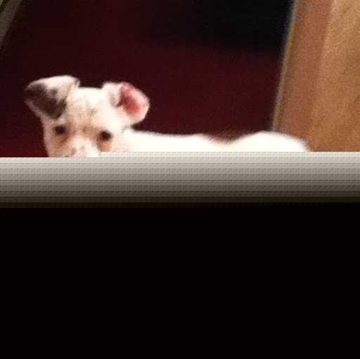Kimberly Sherman Photo 13
