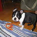 Frankie Benjamin Photo 4