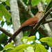 Kathleen Montes Photo 14
