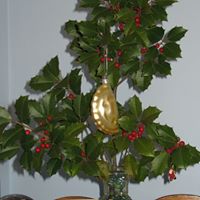 Mary Brokus Photo 12