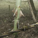 Rusty Sharp Photo 15