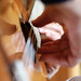 David Connors Photo 38