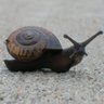 Megan Bell Photo 8