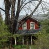 Debra Snell Photo 4