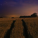 Andrea Fields Photo 10
