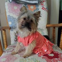 Donna Lowery Photo 35