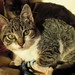 Michelle Noe Photo 15