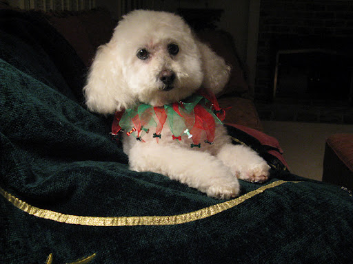 Betty Thacker Photo 5