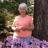 Nancy Strom Photo 12
