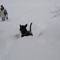 Vicky Hales Photo 4