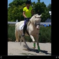 Deborah Dougherty Photo 24