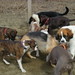 Ruby Humphrey Photo 3