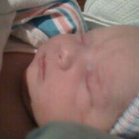 Marlene Chapman Photo 8