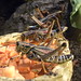 Christopher Hargis Photo 14