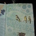 Pam Bird Photo 25