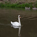 Nancy Swan Photo 24