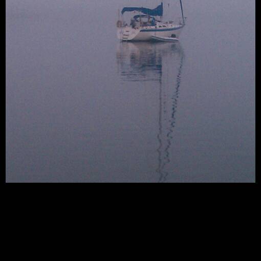 Roger Cole Photo 32
