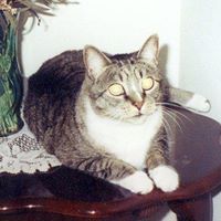 Sandy Russell Photo 5
