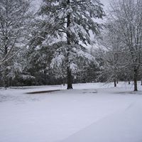 Arlene Stephens Photo 27