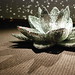 Frances Baxter Photo 22