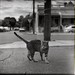 Barry Collier Photo 3
