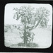 Preston Manning Photo 17