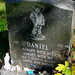 Daniel Kennedy Photo 16