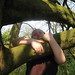 Alice Clapper Photo 8