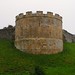 Robin Tower Photo 7