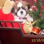 Jan Larson Photo 4