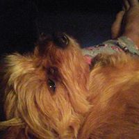 Diane Wampler Photo 9