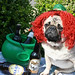 Libby Patrick Photo 11