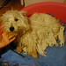 Wendy West Photo 16