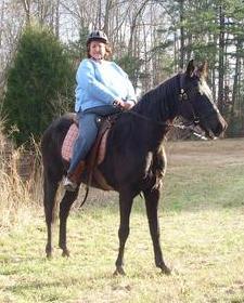 Teresa Meadows Photo 7