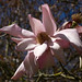 April Newby Photo 20