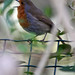 Don Robins Photo 16