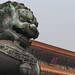 Kai Zhu Photo 11